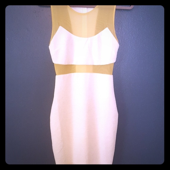 FLASH SALE Body-Con Dress w/ Nude Mesh Sz. Sm - Picture 4 of 4